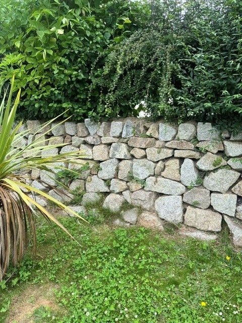 De Lank Hedging Stone
